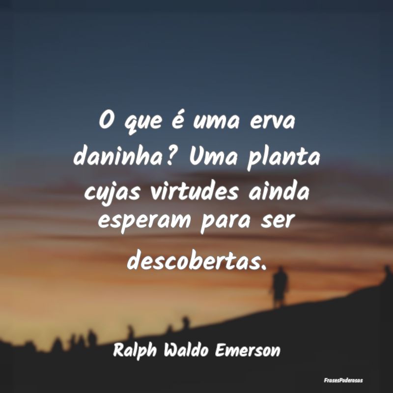 Frases de Descoberta - O que é uma erva daninha? Uma planta cujas virtud...