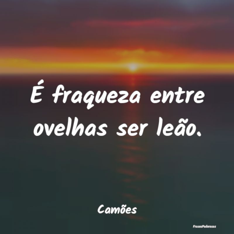 É fraqueza entre ovelhas ser leão....