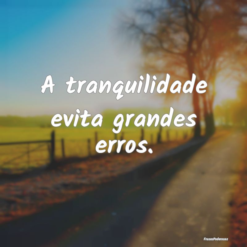 A tranquilidade evita grandes erros.
...