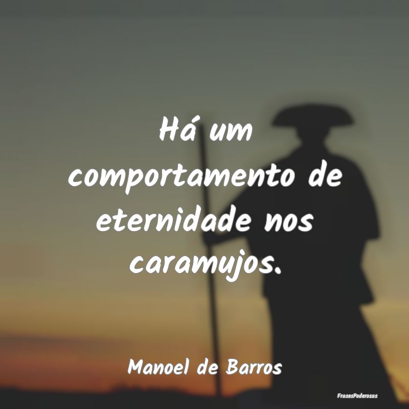 Há um comportamento de eternidade nos caramujos....