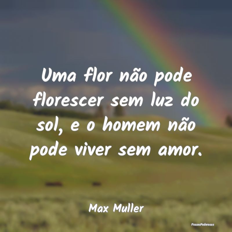 Uma flor não pode florescer sem luz do sol, e o h...