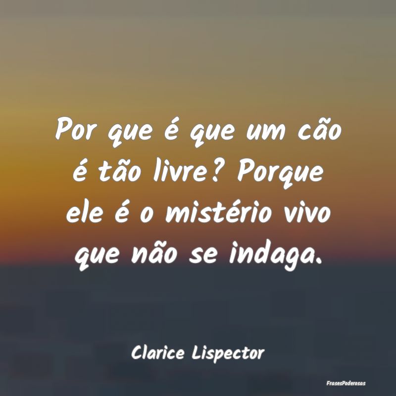 Por que é que um cão é tão livre? Porque ele ...