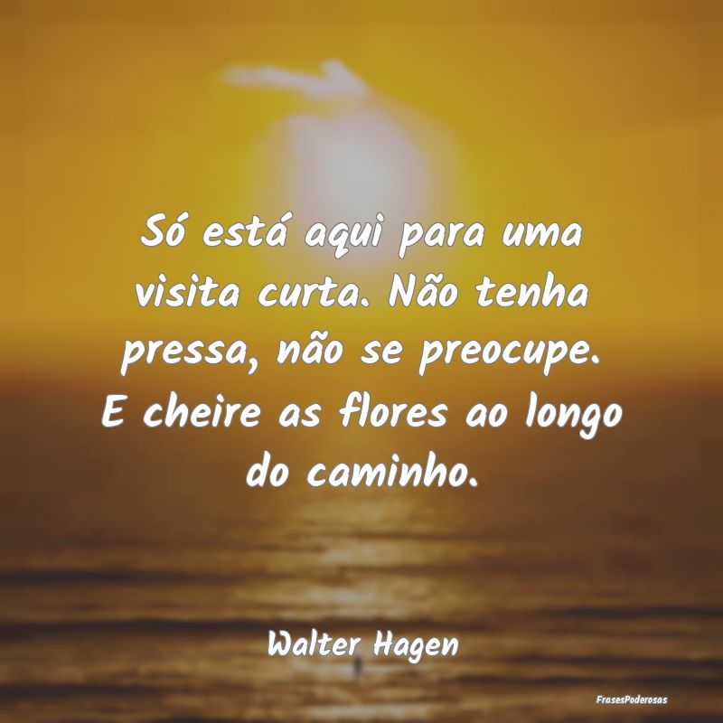 Só está aqui para uma visita curta. Não tenha p... Só está aqui para uma visita curta. Não tenha p...