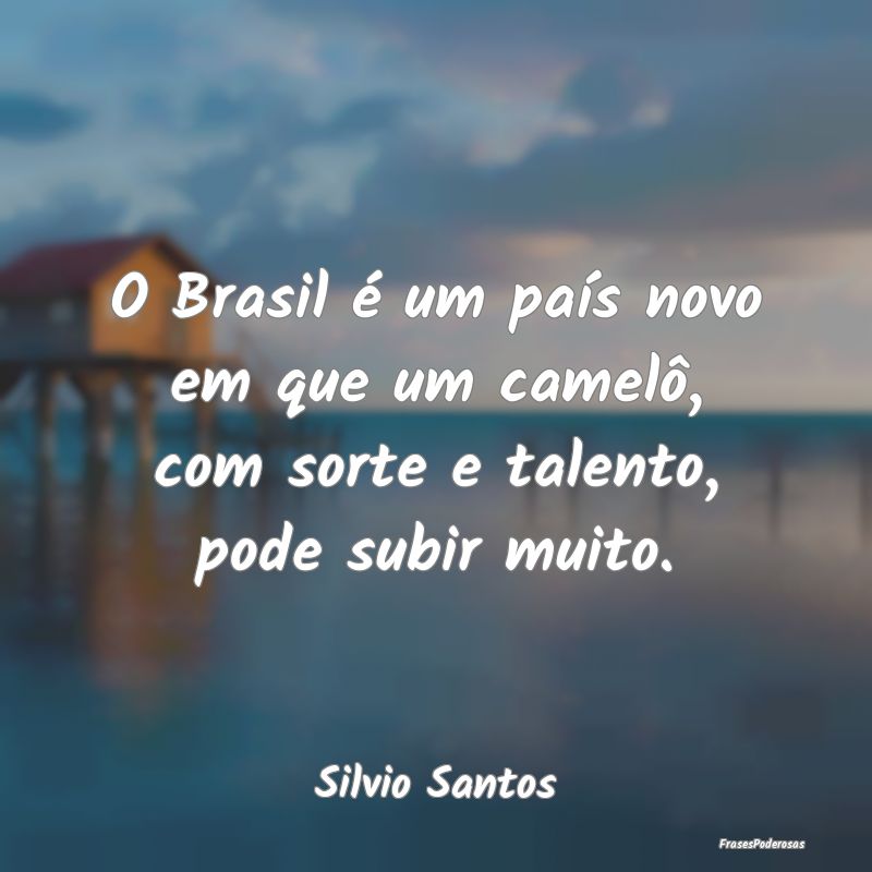 O Brasil é um país novo em que um camelô, com s...
