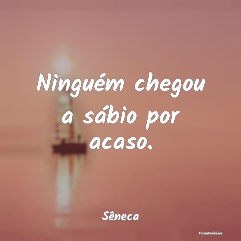 Ninguém chegou a sábio por acaso....
