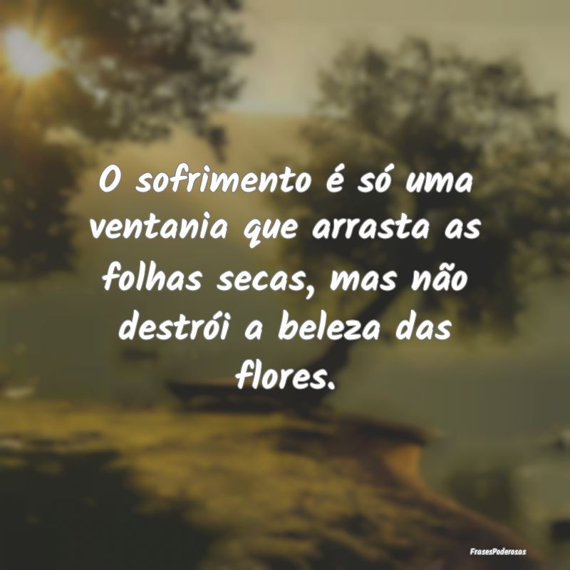 O sofrimento é só uma ventania que arrasta as fo... O sofrimento é só uma ventania que arrasta as fo...
