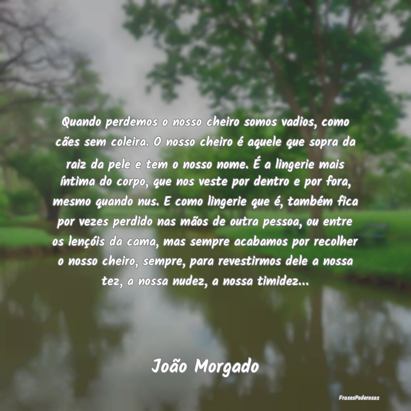 Quando perdemos o nosso cheiro somos vadios, como ... Quando perdemos o nosso cheiro somos vadios, como ...
