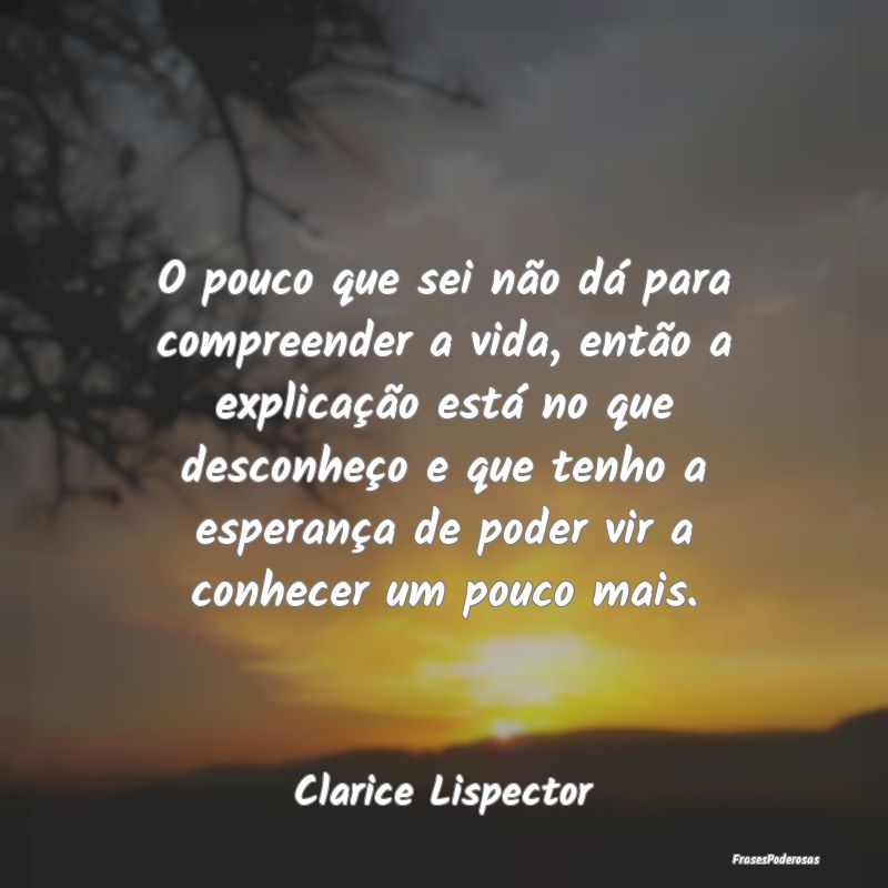 O pouco que sei não dá para compreender a vida, ... O pouco que sei não dá para compreender a vida, ...