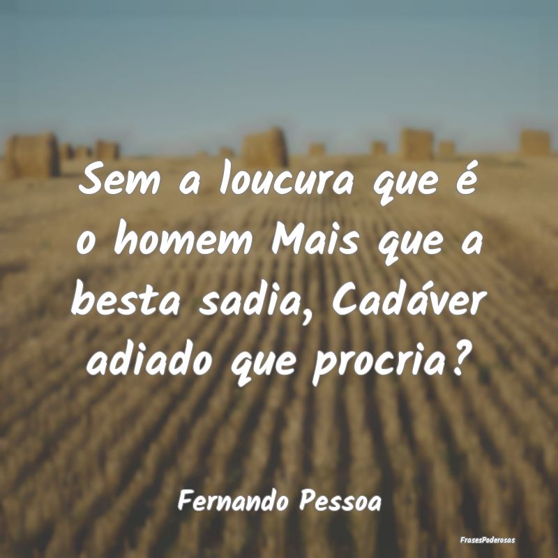 Frases de Loucura - Sem a loucura que é o homem Mais que a besta sadi...
