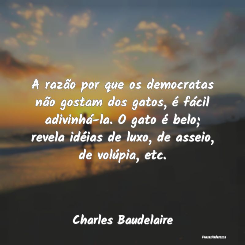 A razão por que os democratas não gostam dos gat... A razão por que os democratas não gostam dos gat...