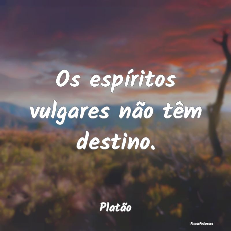 Os espíritos vulgares não têm destino....