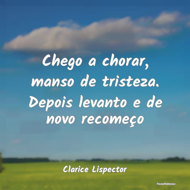 Chego a chorar, manso de tristeza. Depois levanto ...