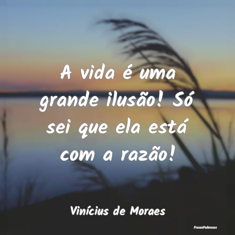 A vida é uma grande ilusão! Só sei que ela est...