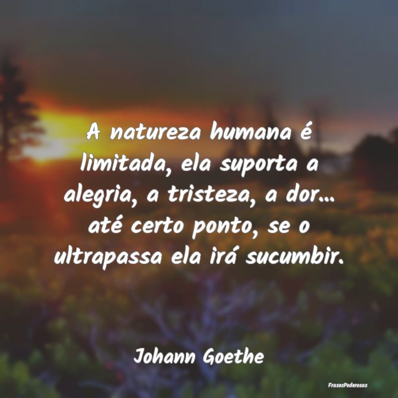 A natureza humana é limitada, ela suporta a alegr... A natureza humana é limitada, ela suporta a alegr...