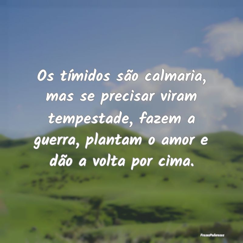 Os tímidos são calmaria, mas se precisar viram t... Os tímidos são calmaria, mas se precisar viram t...