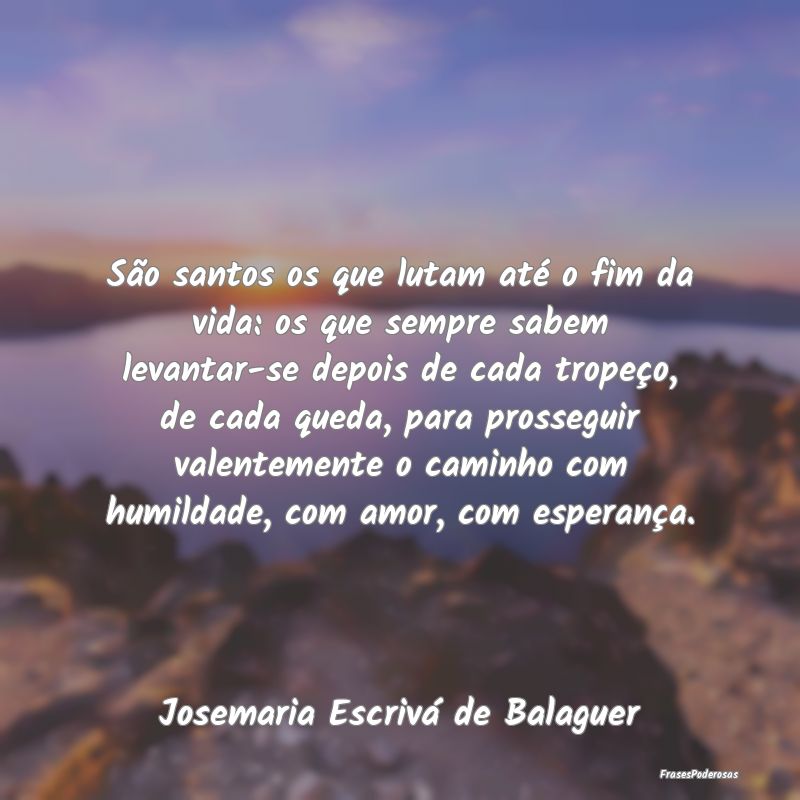 São santos os que lutam até o fim da vida: os qu... São santos os que lutam até o fim da vida: os qu...
