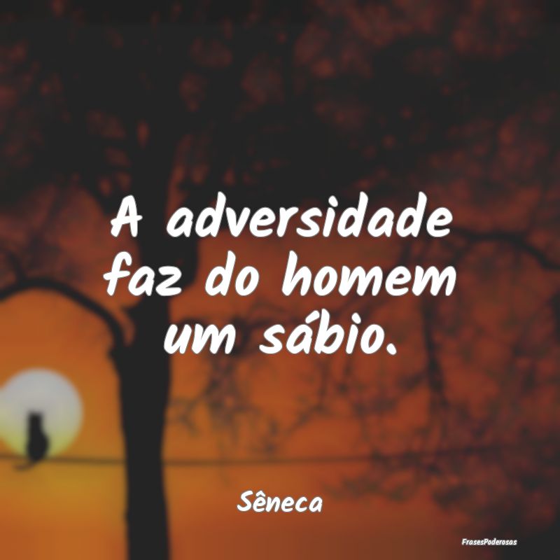 A adversidade faz do homem um sábio....
