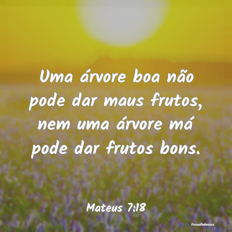 Uma árvore boa não pode dar maus frutos, nem uma...