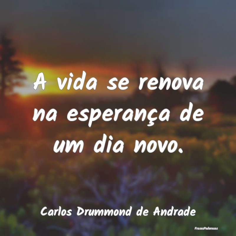 A vida se renova na esperança de um dia novo....