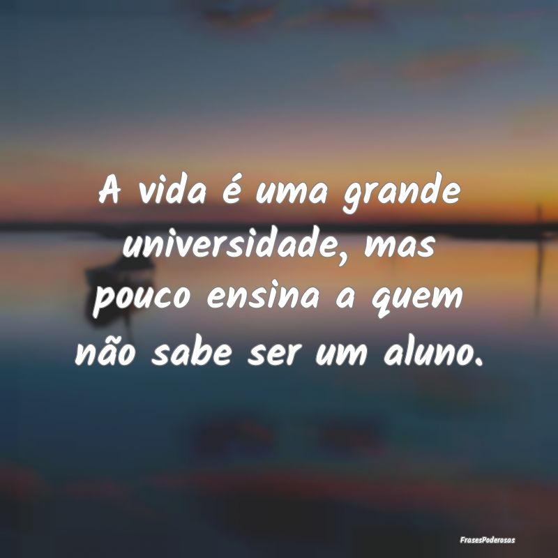 A vida é uma grande universidade, mas pouco ensin...