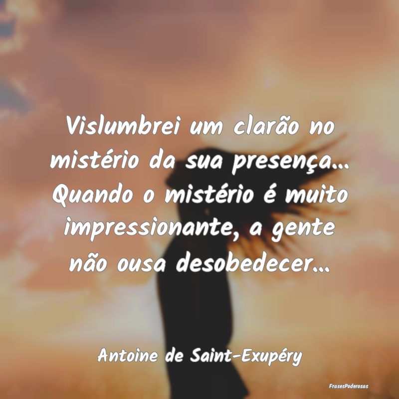 Vislumbrei um clarão no mistério da sua presenç...