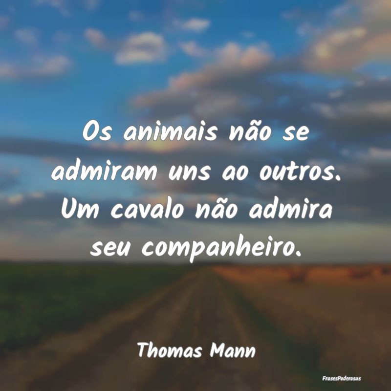 Os animais não se admiram uns ao outros. Um caval...