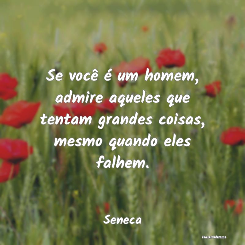 Se você é um homem, admire aqueles que tentam gr... Se você é um homem, admire aqueles que tentam gr...