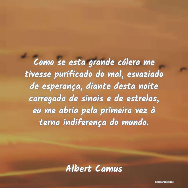 Como se esta grande cólera me tivesse purificado ... Como se esta grande cólera me tivesse purificado ...