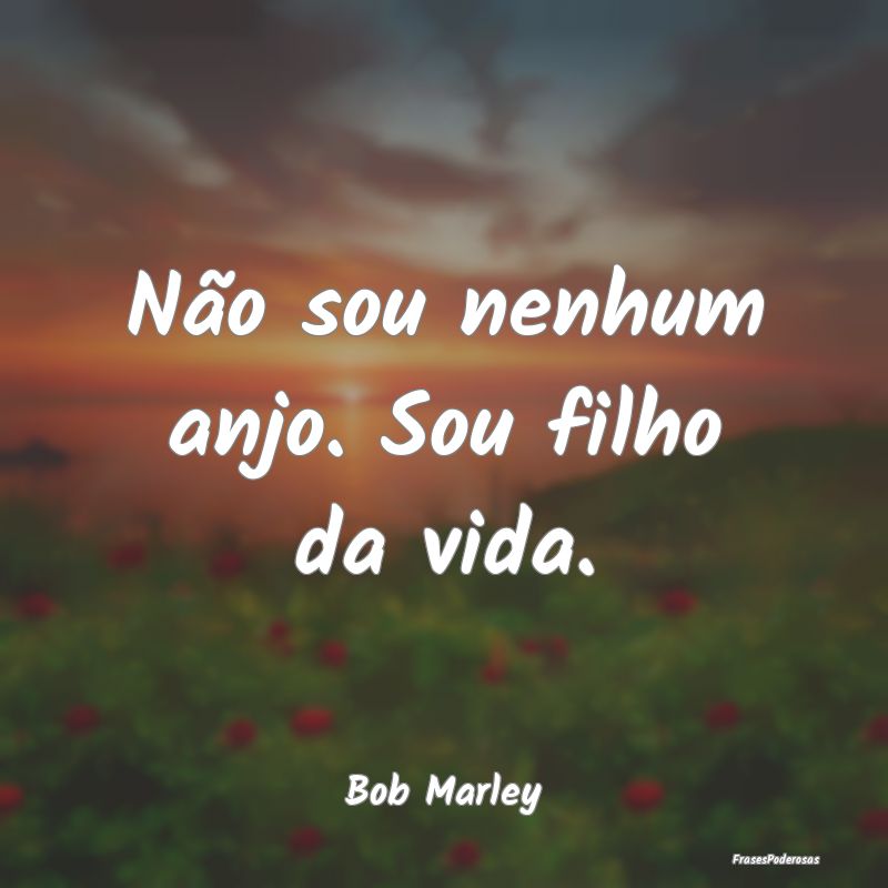 Não sou nenhum anjo. Sou filho da vida....