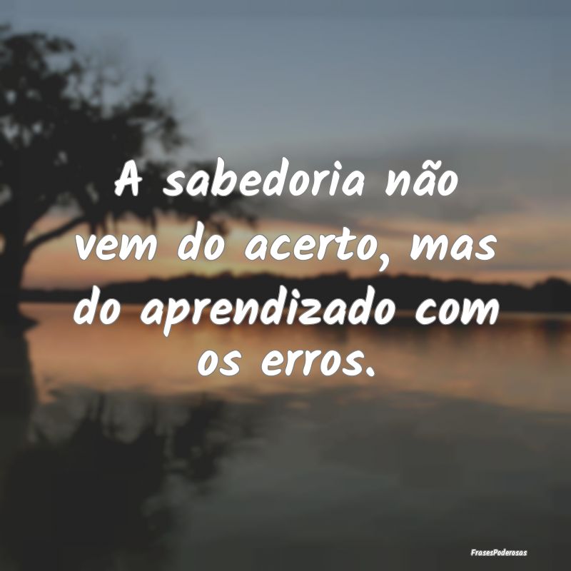 A sabedoria não vem do acerto, mas do aprendizado...