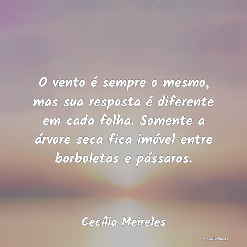 O vento é sempre o mesmo, mas sua resposta é dif... O vento é sempre o mesmo, mas sua resposta é dif...