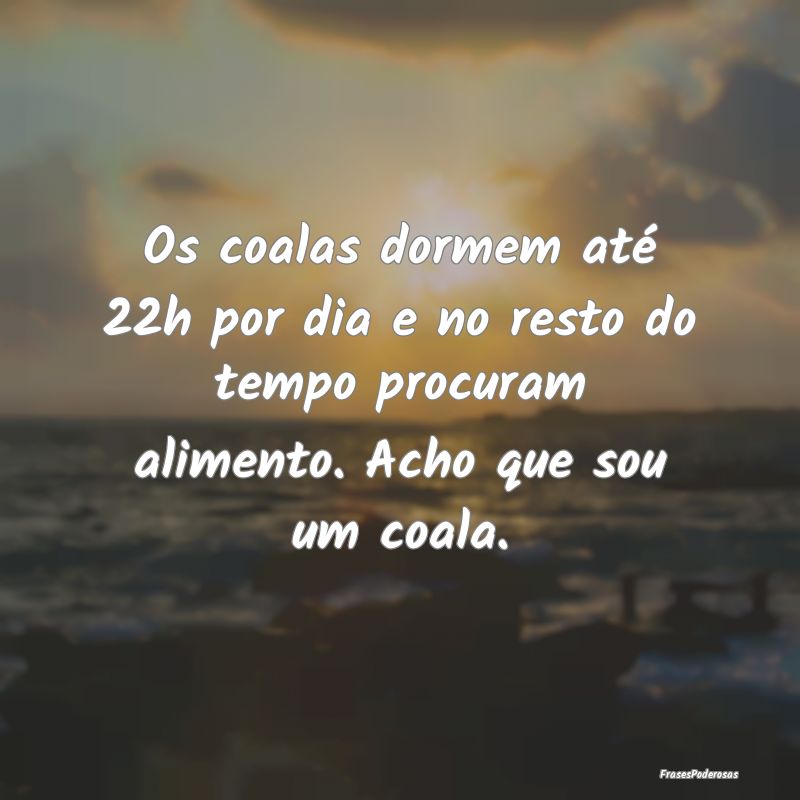 Os coalas dormem até 22h por dia e no resto do te... Os coalas dormem até 22h por dia e no resto do te...