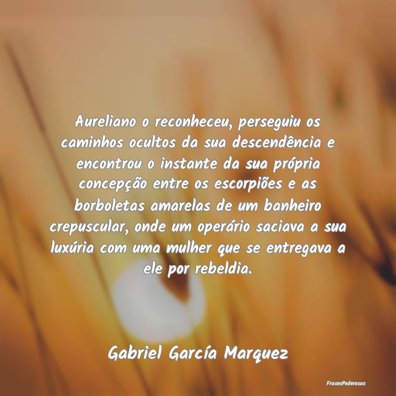 Aureliano o reconheceu, perseguiu os caminhos ocul... Aureliano o reconheceu, perseguiu os caminhos ocul...