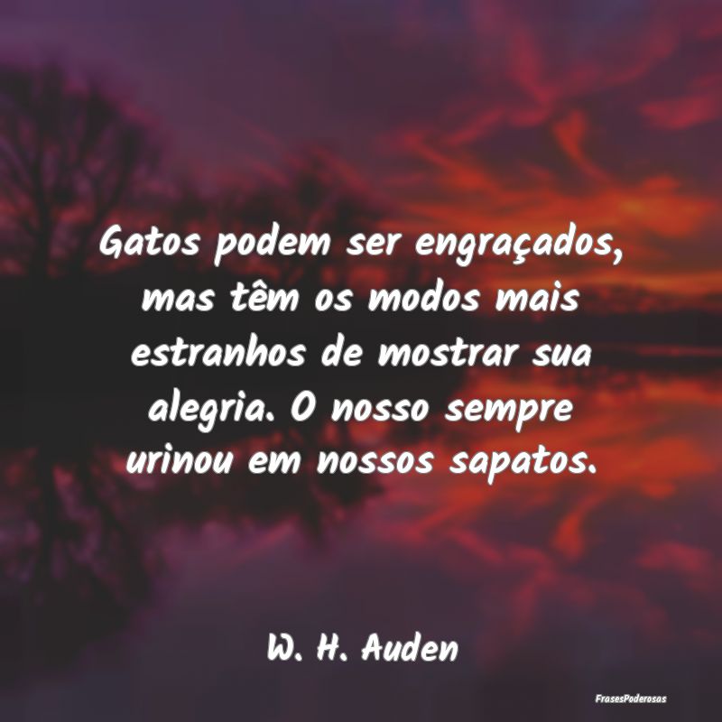 Gatos podem ser engraçados, mas têm os modos mai... Gatos podem ser engraçados, mas têm os modos mai...