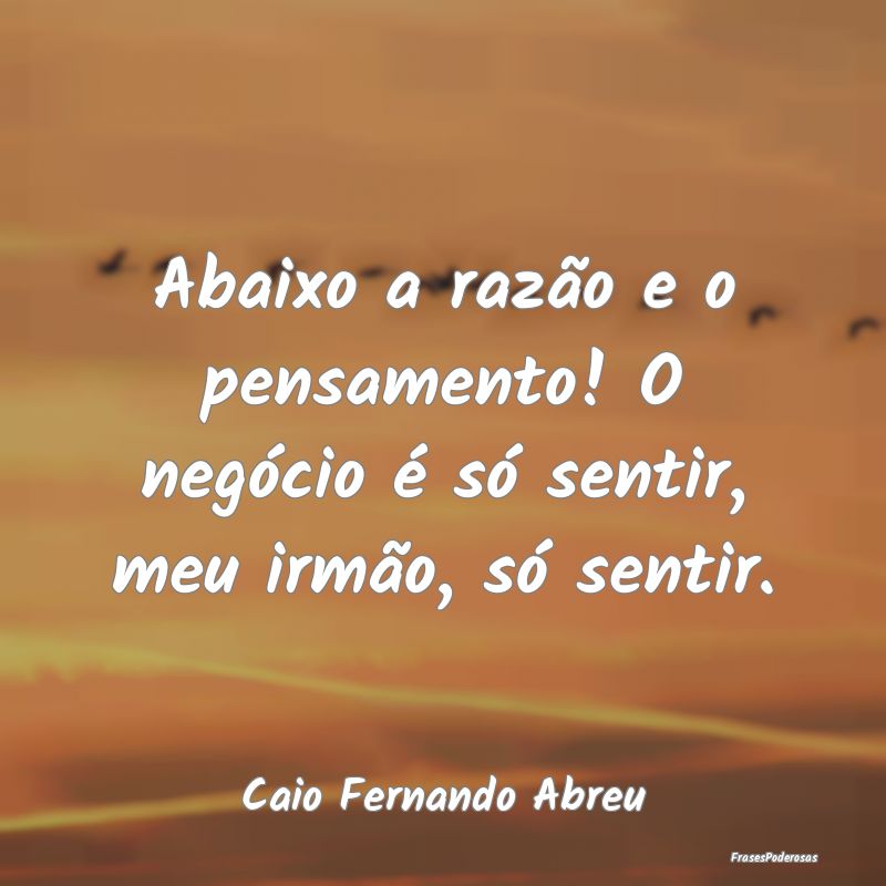 Abaixo a razão e o pensamento! O negócio é só ...