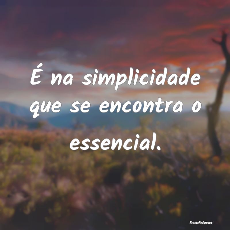 É na simplicidade que se encontra o essencial.
...