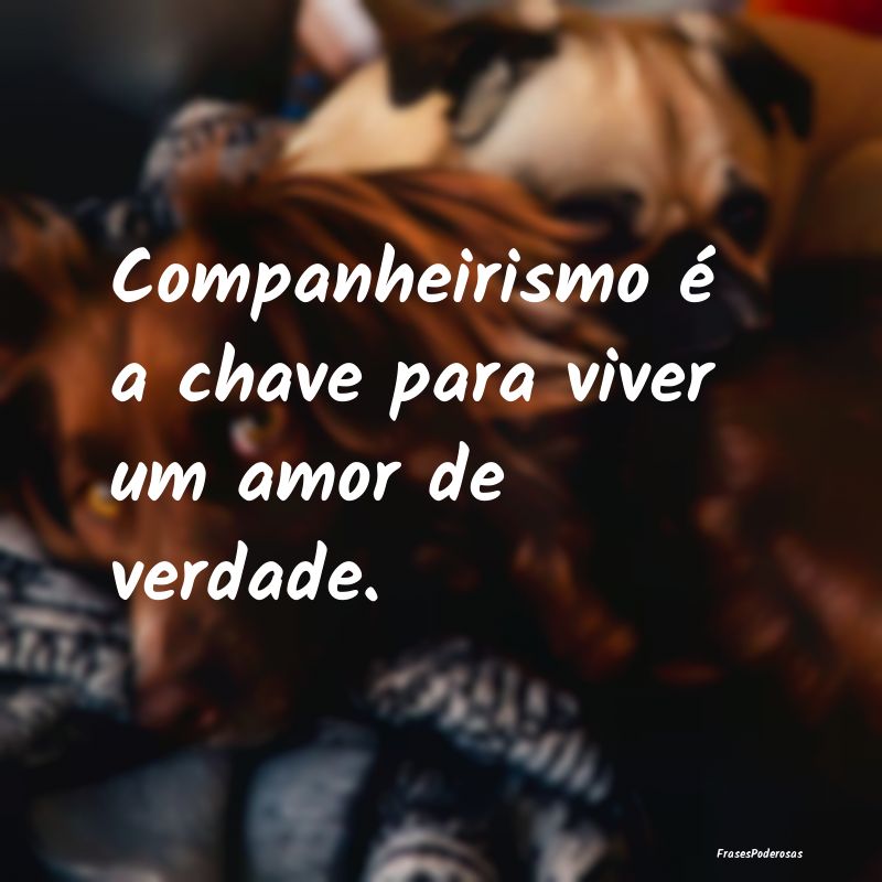 Companheirismo é a chave para viver um amor de ve...