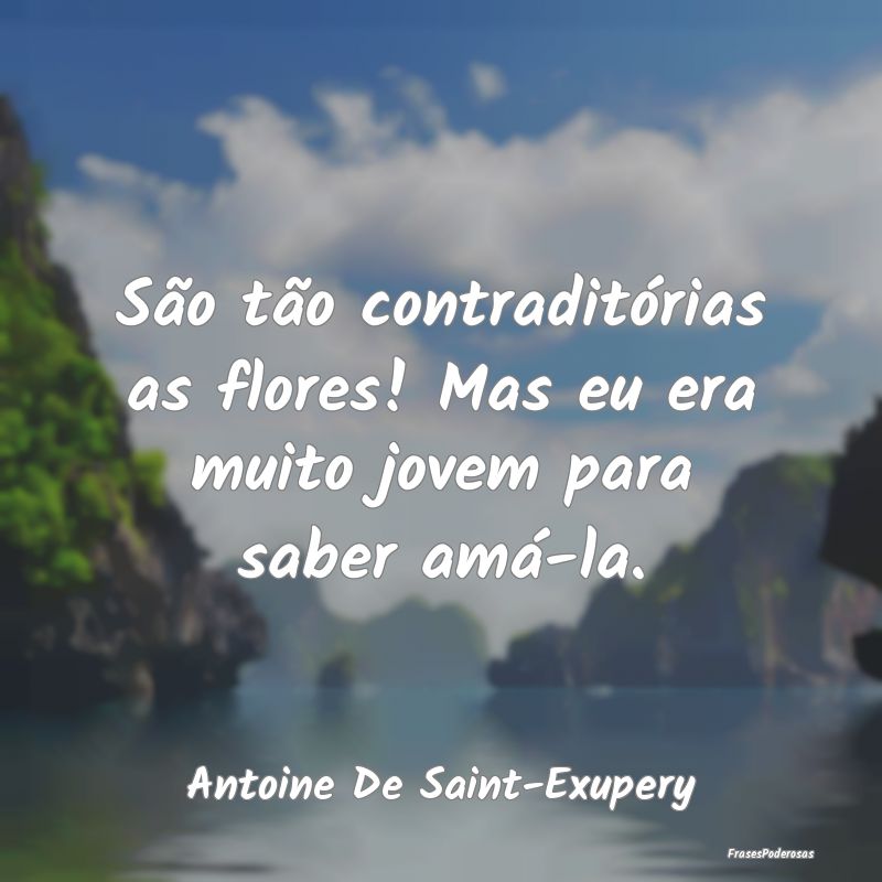 São tão contraditórias as flores! Mas eu era mu...