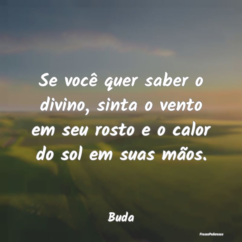 Se você quer saber o divino, sinta o vento em seu...