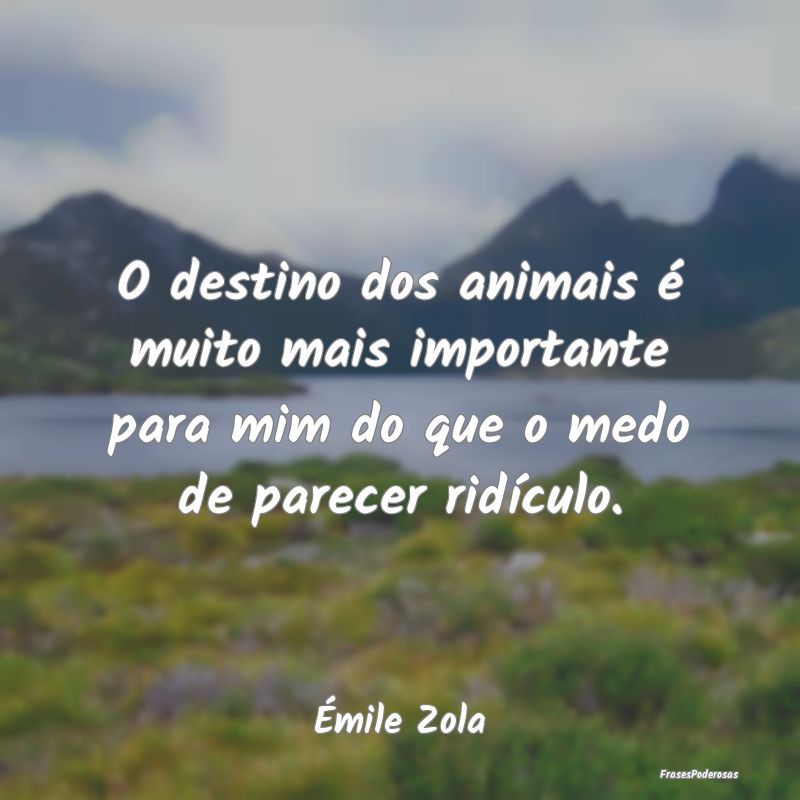 O destino dos animais é muito mais importante par...
