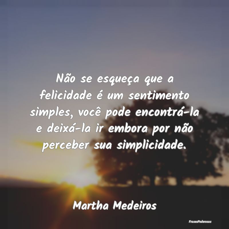 Não se esqueça que a felicidade é um sentimento... Não se esqueça que a felicidade é um sentimento...