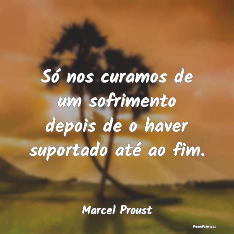 Só nos curamos de um sofrimento depois de o haver...