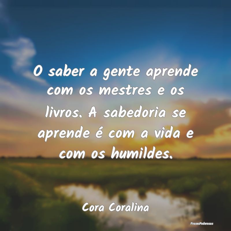 O saber a gente aprende com os mestres e os livros... O saber a gente aprende com os mestres e os livros...