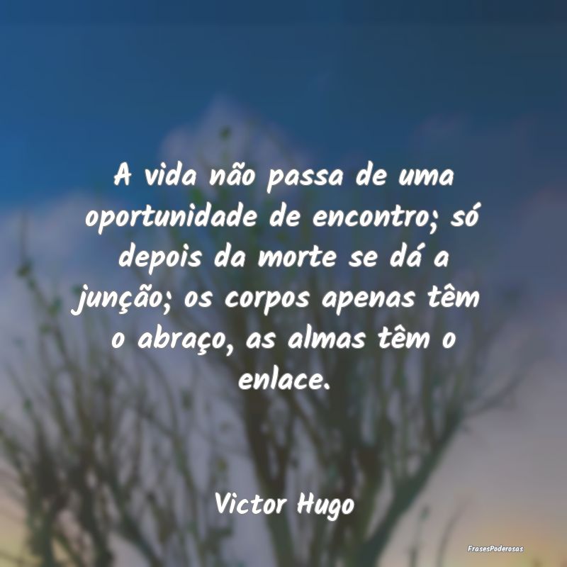 A vida não passa de uma oportunidade de encontro;... A vida não passa de uma oportunidade de encontro;...