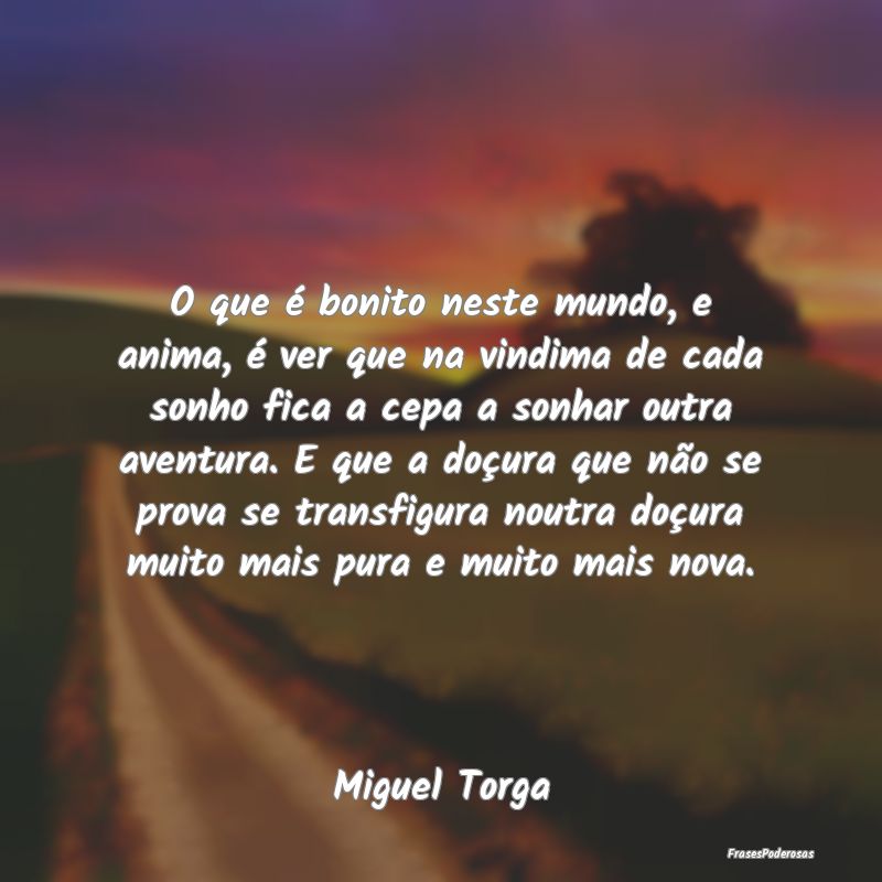 O que é bonito neste mundo, e anima, é ver que n... O que é bonito neste mundo, e anima, é ver que n...
