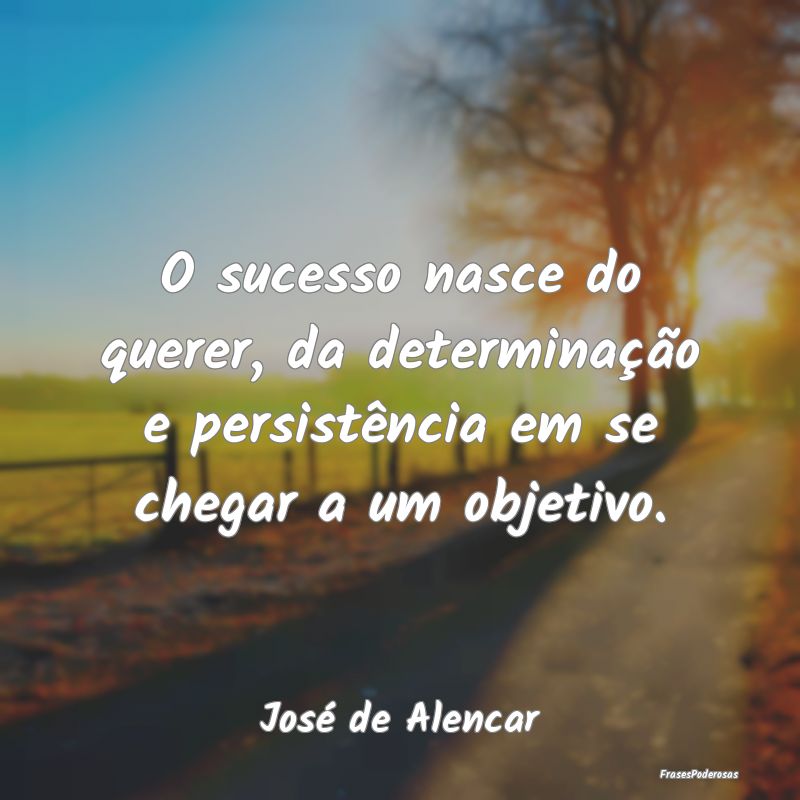 O sucesso nasce do querer, da determinação e per...
