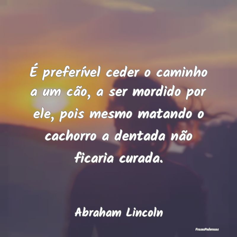 É preferível ceder o caminho a um cão, a ser mo... É preferível ceder o caminho a um cão, a ser mo...