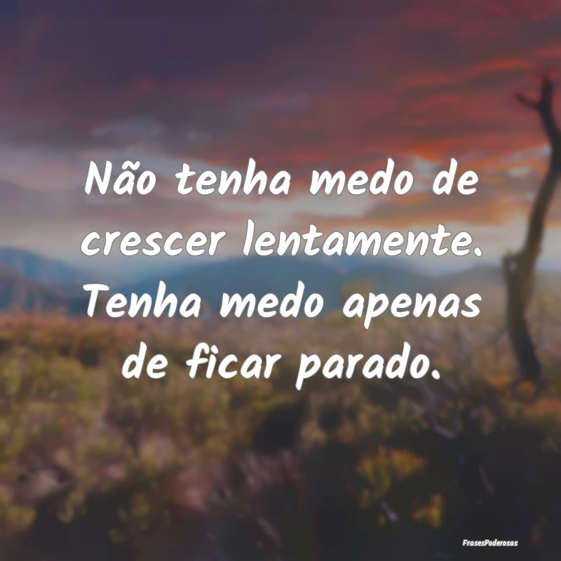 Não tenha medo de crescer lentamente. Tenha medo ...