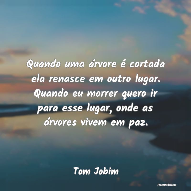 Quando uma árvore é cortada ela renasce em outro... Quando uma árvore é cortada ela renasce em outro...