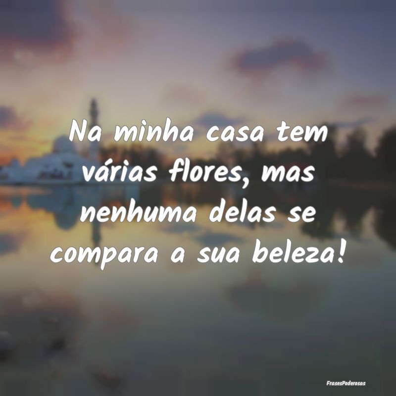 Na minha casa tem várias flores, mas nenhuma dela...